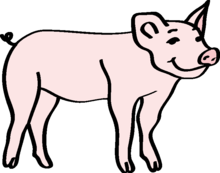 Bild von einem Schwein